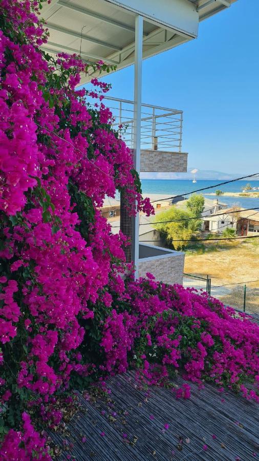 Begonvil Otel Çeşme Exterior foto