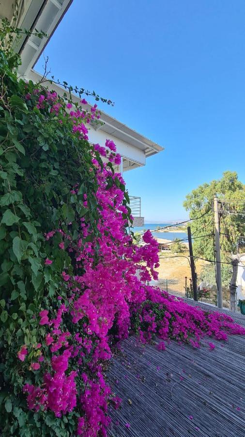 Begonvil Otel Çeşme Exterior foto